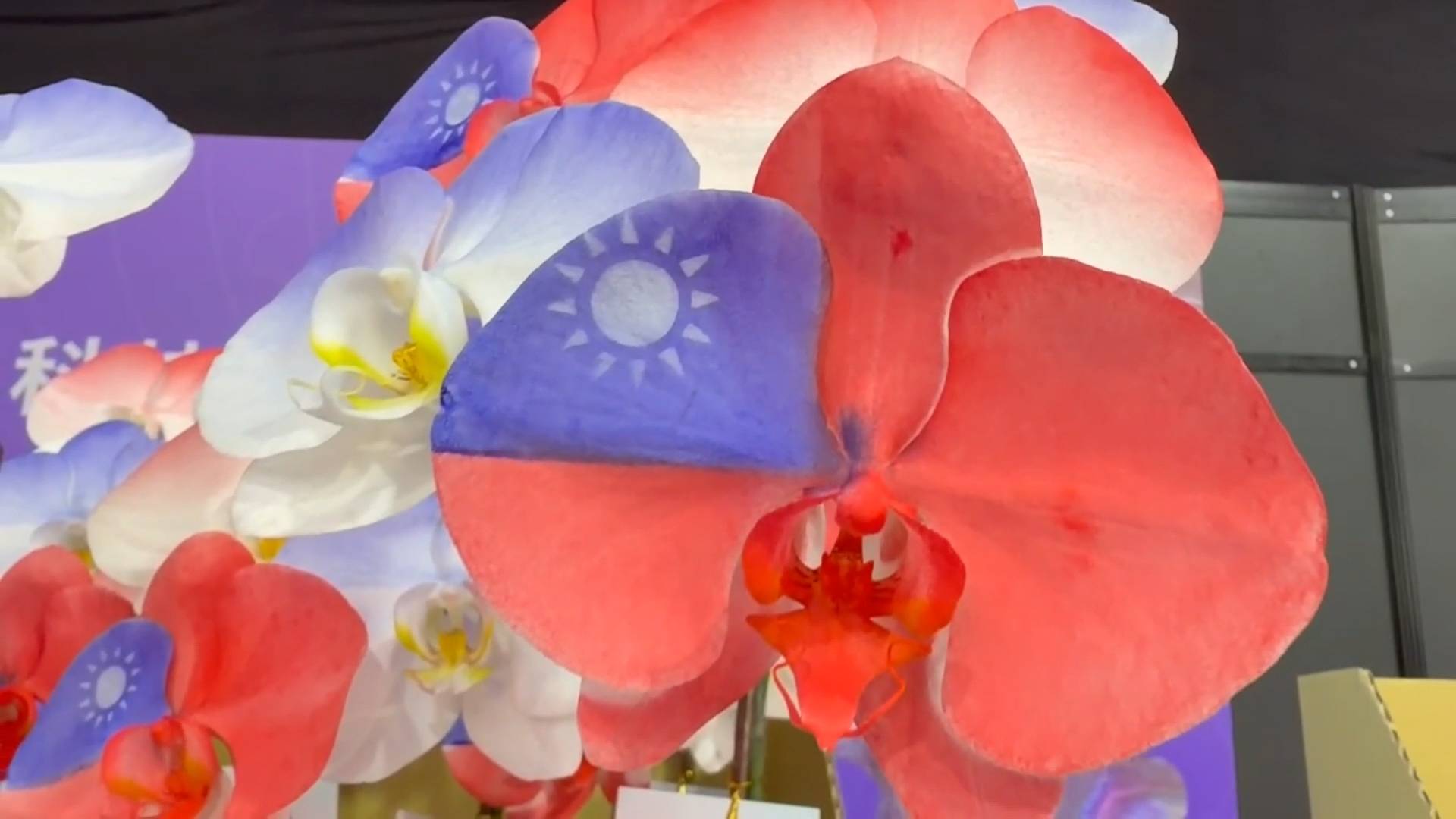 201be6a3 ec0a 450d 8b67 ee862383d2ec