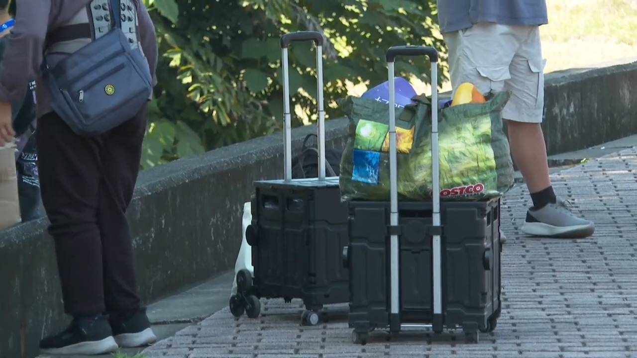 9ce53da8 4352 4f7e a78c b8c41f5338b5